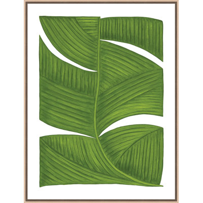Botanicus Duodecim 1 Framed Print Canvas
