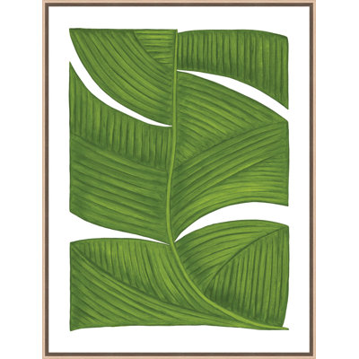 Botanicus Duodecim 1 Print