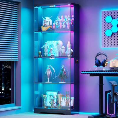 Display Cabinet