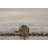 Laurel Connie-Leigh Lilac And Green Runner Rug-1991713812