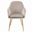 Taraji 46cm H Velvet Upholstered Metal Armchair-22261460-22261463