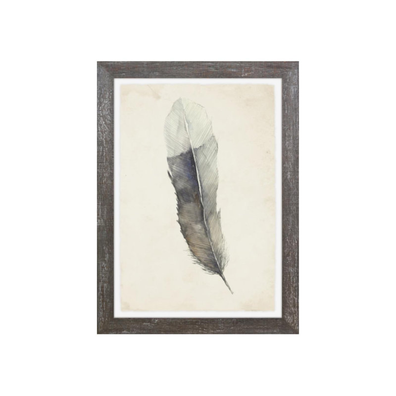 Charcoal Feathers II Print by Beverly Fuller, Matte, 27" H x 20" W