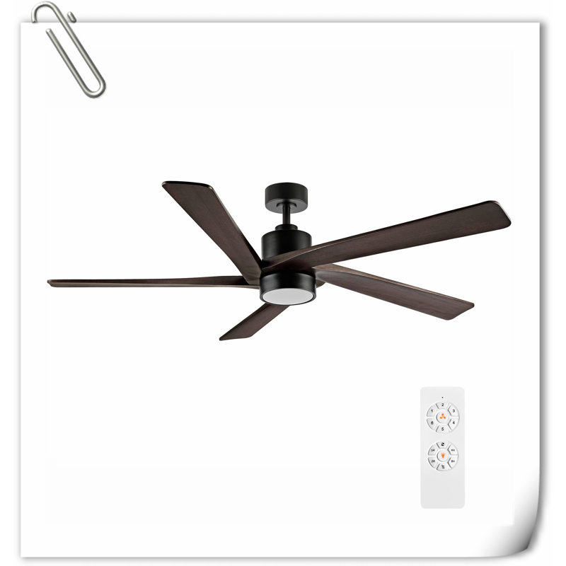 Museau Ceiling Fan with LED Lights, Brown/Black