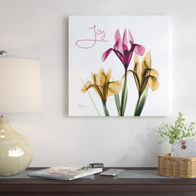 Pink Iris Joy - Wrapped Canvas Print