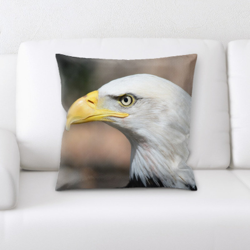 Coussin chauve eagle