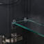 Mirrored Bathroom Cabinets with Mirror
