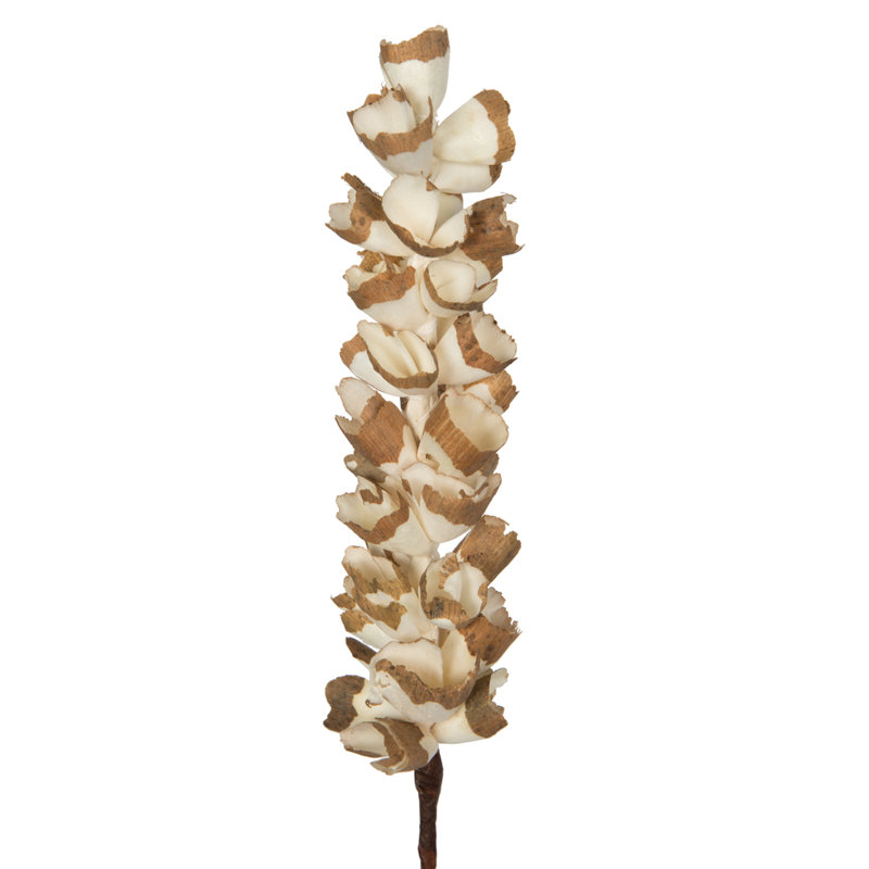 Faux Sola Plant