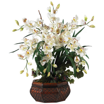 Orchid Arrangement in Planter