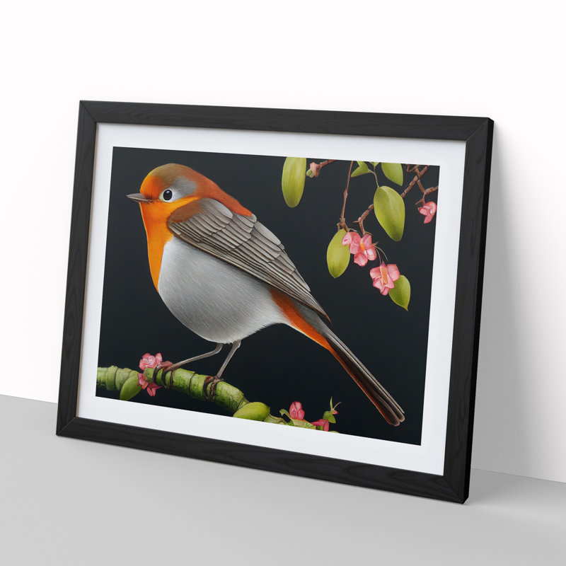 Spellbinding Robin Bird - Framed Print, 34cm H x 46cm W x 2cm D, Black