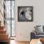 Renoncule foncé II - cadre photo-56949604-56897103-56897107