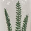 Doreah 15'' Ceramic Table Vase