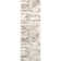 Shockley Faded Floral Performance Beige Rug