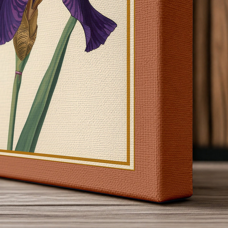Purple Iris Study Botanical - Wrapped Canvas, 30x20 - 76.2 x 50.8 cm, Terracotta Border