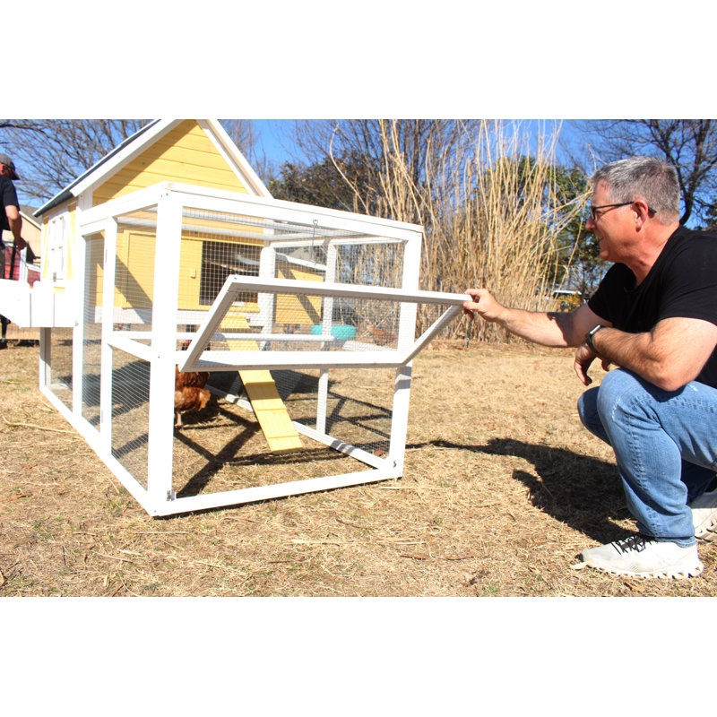 23.4 Square Feet with Chicken Run