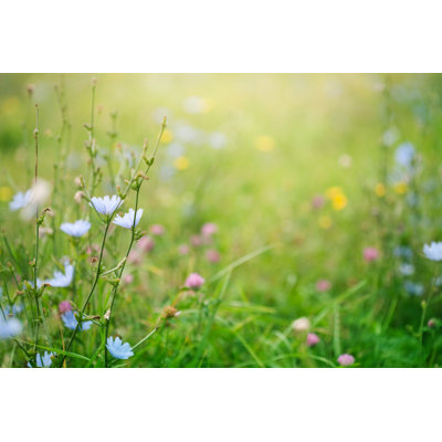 Spring Background by Jasmina007