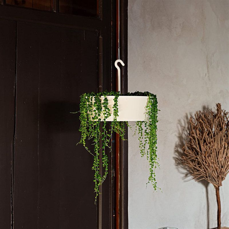 White 10-Inch Single Tier Hanging Planter for Indoor/Outdoor Use