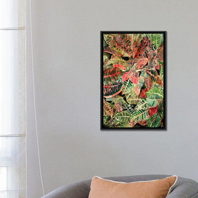 Croton Botanical by Derek McCrea - Gallery-Wrapped Canvas Giclée