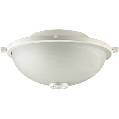Reis 2 - Light Studio White Light Fitter
