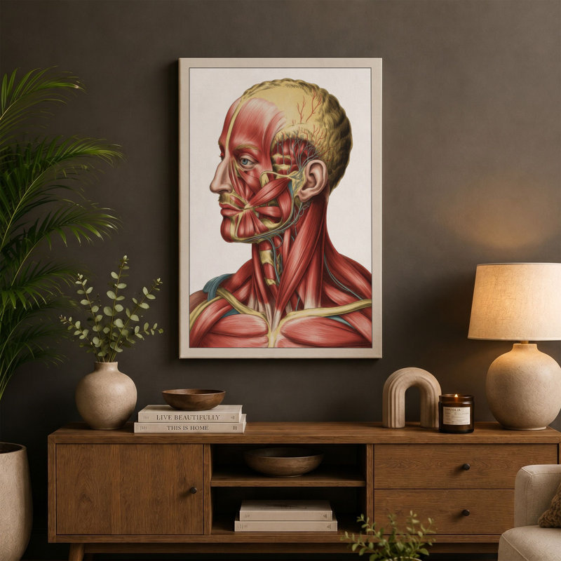 Anatomical Head Profile Medical - Wrapped Canvas, 24x16 - 61.0 x 40.6 cm, Ochre Border