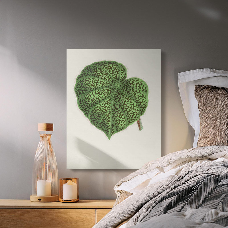 Hesse Wrapped Canvas Print Set, 16x24