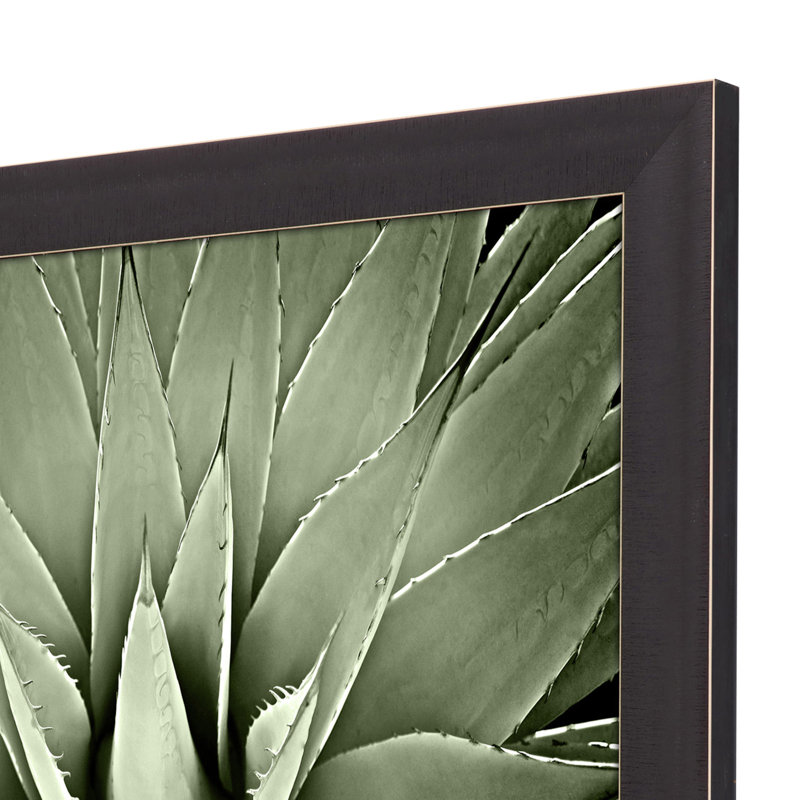 Green Succulent III Brown Framed Print Wall Art