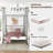 Barbaranne Metal Canopy Bed-1531755785