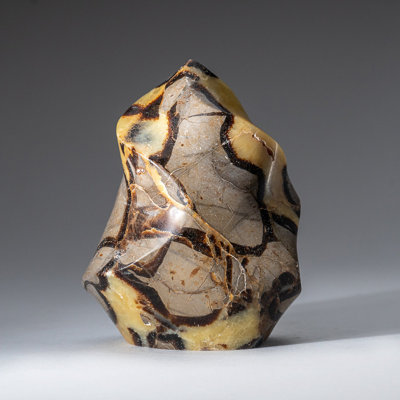 Polished Septarian Flame Freeform from Madagascar (1.7 Lbs)