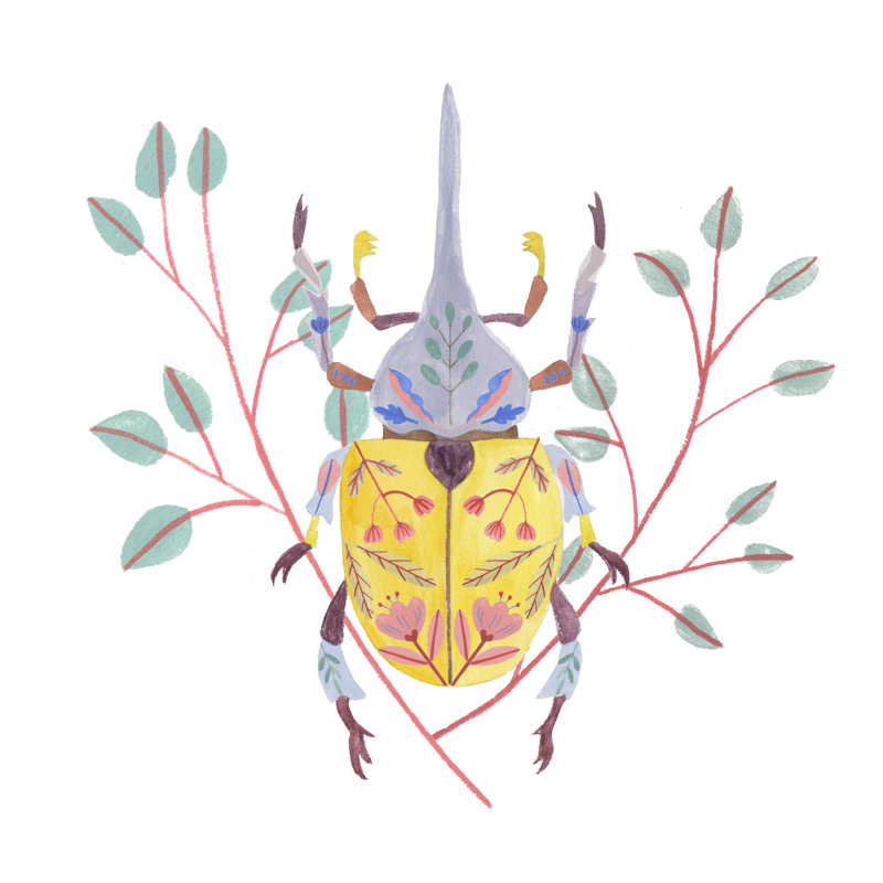 Floral Beetles VI by Melissa Wang - Wrapped Canvas Painting, 91cm H x 91cm W x 3.8cm D