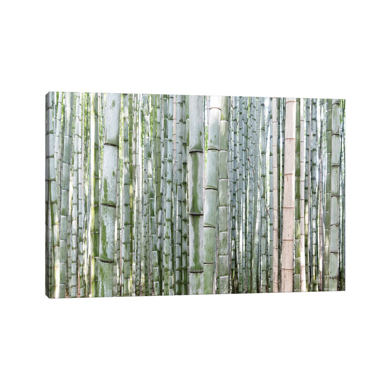 Unlimited Bamboos III by Philippe Hugonnard - Wrapped Canvas Gallery-Wrapped Canvas Giclée