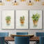 Succulent I, encadré sur toile, 3 pièces-163068306-163068304