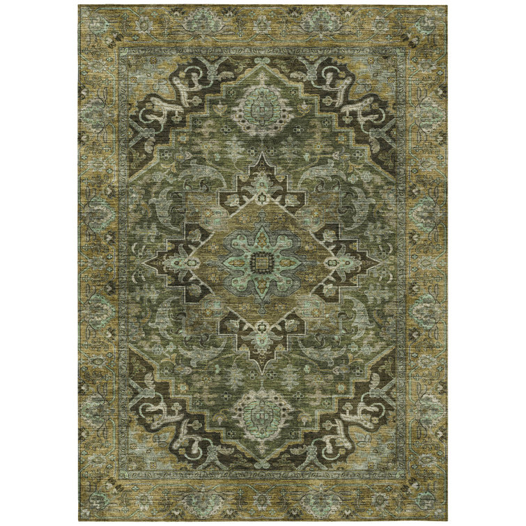 Machine Washable Indoor/Outdoor Arline ACN2165 Global Rug
