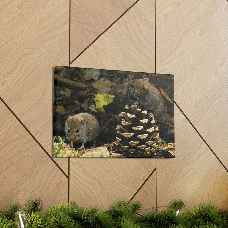 No Frame Print on Canvas, 14cm H x 11cm W