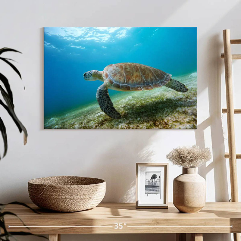 Hawksbill Turtle In Motion, 16" H x 24" W