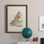 Toile encadrée de qualité supérieure Hawk Owl - prête à être accrochée-604141485-604141484