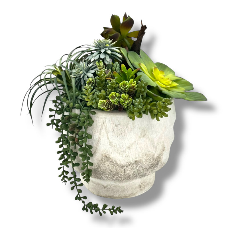 Succulent Design in Off-White Circular Ceramic Vase