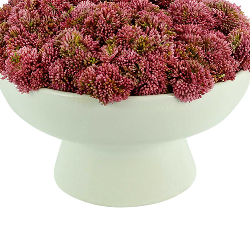 Sedum Arrangement in Ceramic Pedestal Vase, Pink