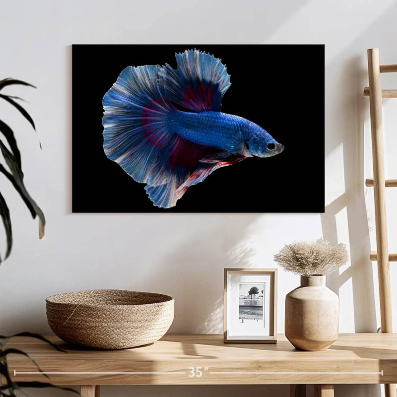 Elegant Blue Betta, 26" H x 39" W