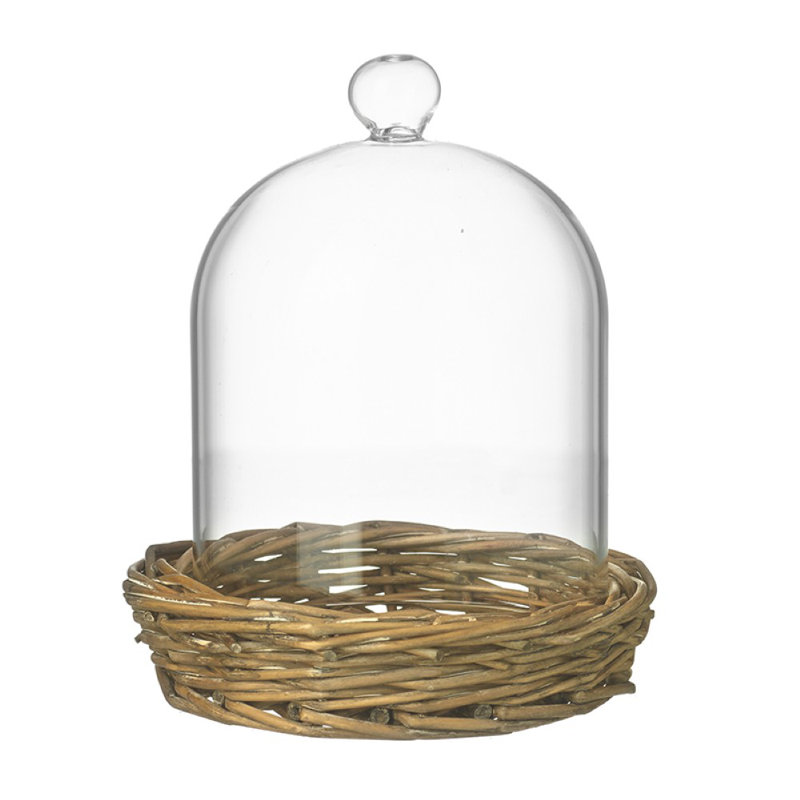 Cloche Or Water Globe