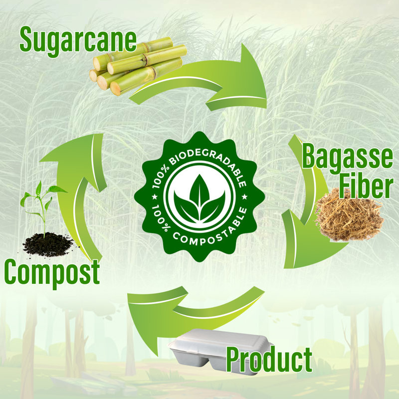 Bamboo Party Supplies Kit
