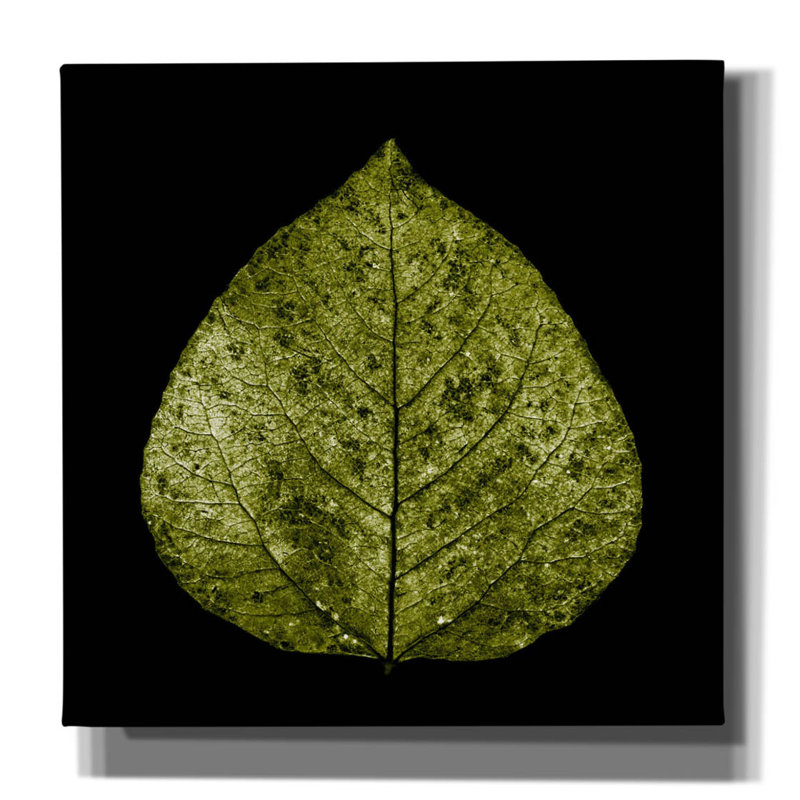 «Feuille verte» par PhotoINC Studio, H 37 po x l 37 po x P 1,5 po