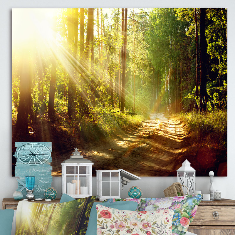 Sun Rays in Misty Old Forest - reproduction de photo sur toile, H 12 po x l 20 po x p 1 po, Toile tendue