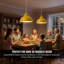 17cm H Metal Dome Lamp Shade ( Screw On )-1853618918