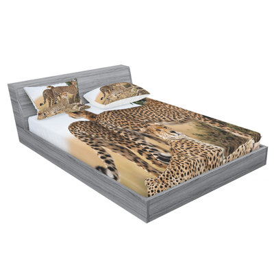 Microfiber Sheet Set