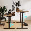 Salzer Adjustable Metal Base Standing Desk