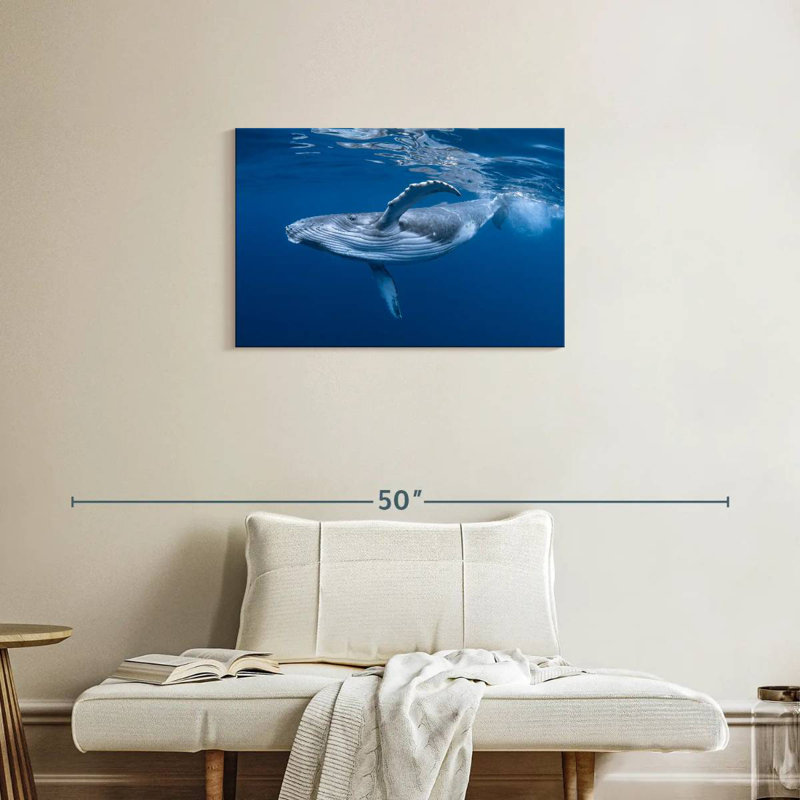 Baleine à bosse Brampt, H 20 po x l 30 po