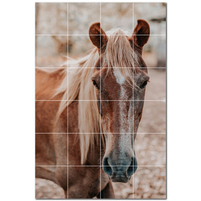 Murale en céramique satinée cheval photo 12 po x 12 po