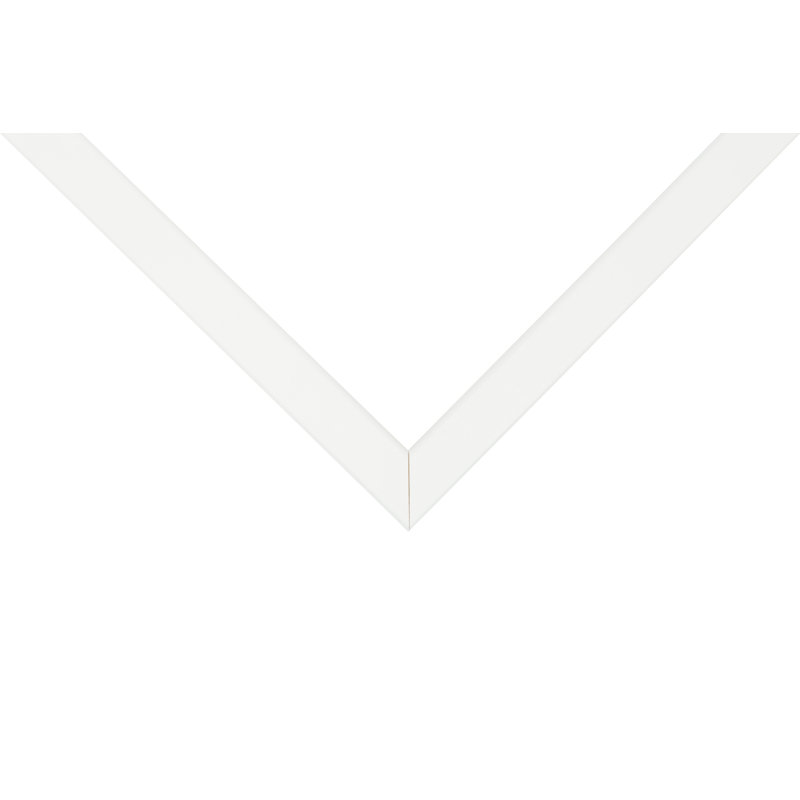 Cadre photo Canchola, Blanc, Rectangulaire, L 8 po x H 12 po