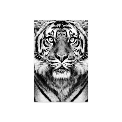 Tigre en noir et blanc sur plastique / acrylique par Sissi & Seb Peinture