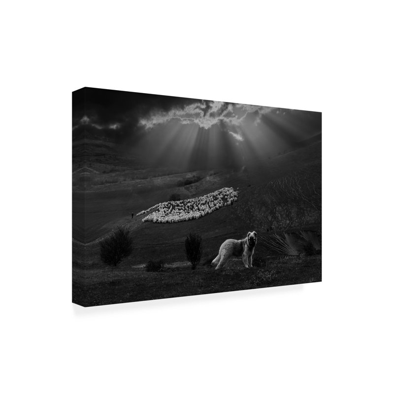 Clas Gustafson PRO Sheperd Dog Canvas Art, 22" H x 32" W