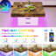 Table basse